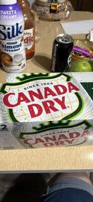 Ginger ale zero sugar