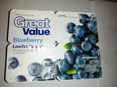 Blueberry Original Lowfat Yogurt