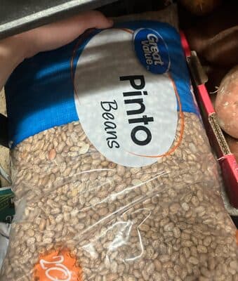Pinto Beans
