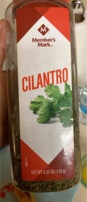 Cilantro