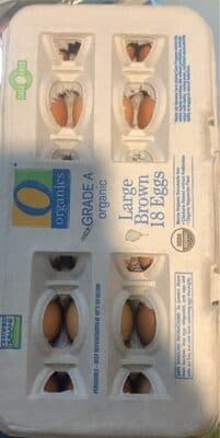 Brown Eggs