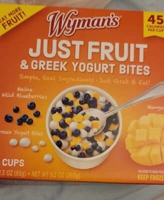 Maine Wild Blueberries, Mangos & Greek Yogurt Bites