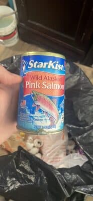 Alaskan Pink Salmon