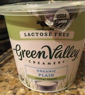 Plain Lactose Free Organic Lowfat Yogurt