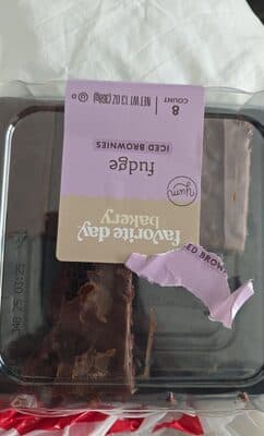 Fudge Iced Brownies