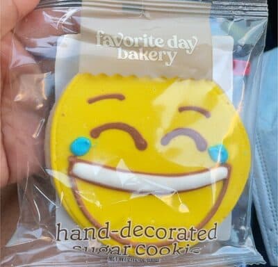 Hand-Decorated Sugar Cookie