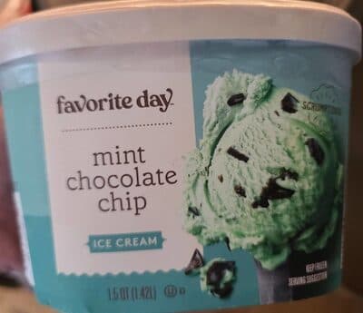 Mint Chocolate Chip Ice Cream