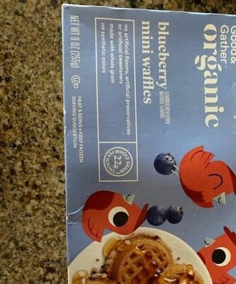 Blueberry Mini Waffles