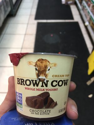 CHOCOLATE ON THE BOTTOM WHOLE MILK YOGURT, CHOCOLATE