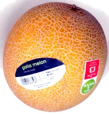 Galia Melon