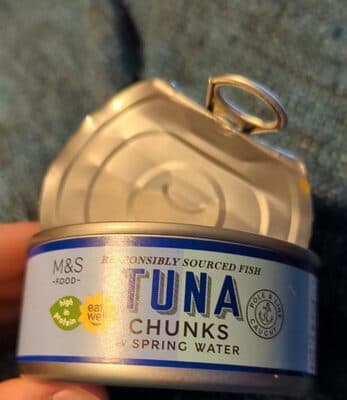 Tuna chunks