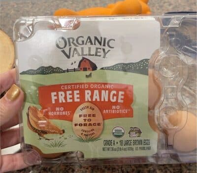 Free range large eggs