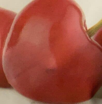 Tart Montmorency Cherries