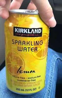 Lemon Sparkling Water