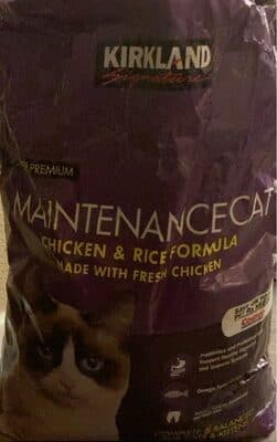 Maintenance Cat