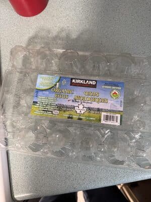 Organic Eggs