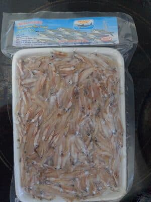 Frozen Anchovy Wild Caught