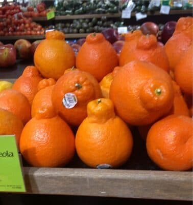 Organic Mineola Tangelo
