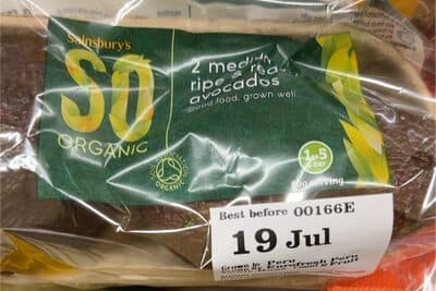 Avocados Organic