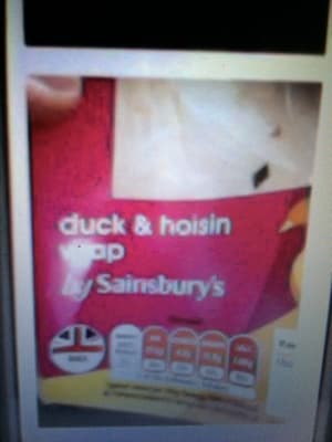 Duck & Hoisin Wrap
