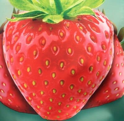 Strawberry Crispy Fruit