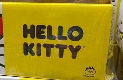 Hello Kitty Chicken Noodle Soup