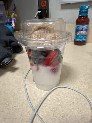 Strawberry Blueberry Yogurt Parfait