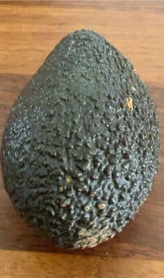 Avocado