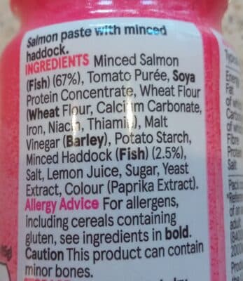 Salmon Paste