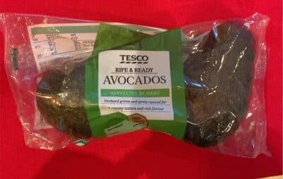 Avocado