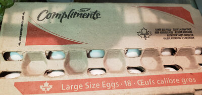 Eggs