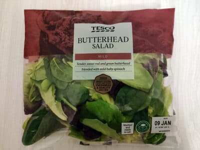 Butterhead salad
