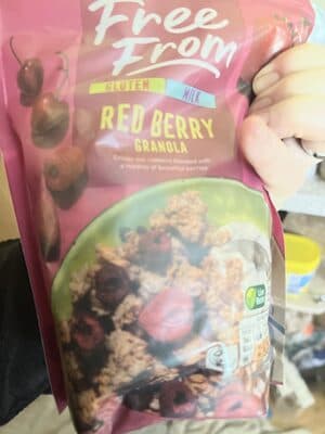 Crunchy Oat Bars