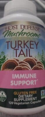 Mushroom Turkey Tail