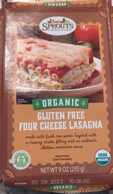 Five cheese lasagna