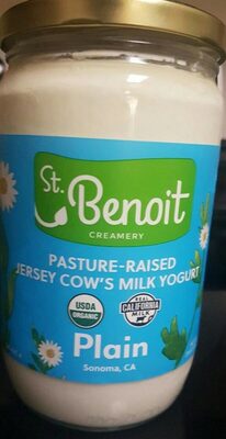 Plain Yogurt