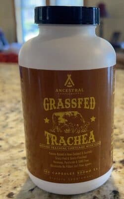 Trachea