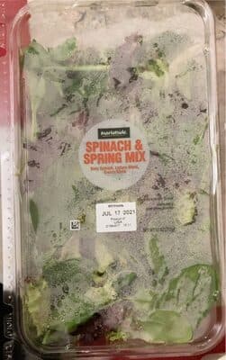 Spinach & spring mix