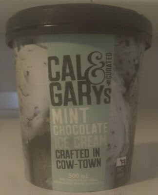 Mint Chocolate Ice Cream