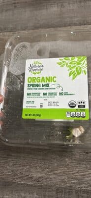 Organic Spring Mix