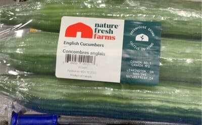 English Cucumber