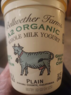 A2 Organic Plain Whole Milk Yogurt
