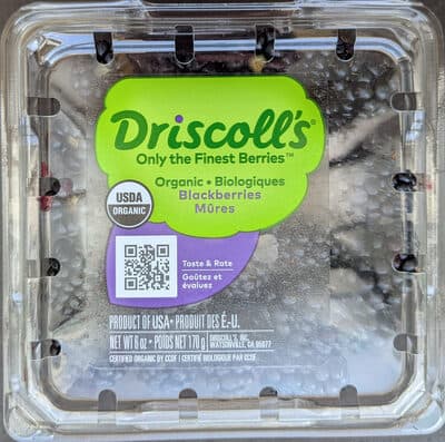 Organic Blackberries