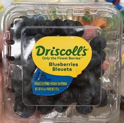 Blueberries
