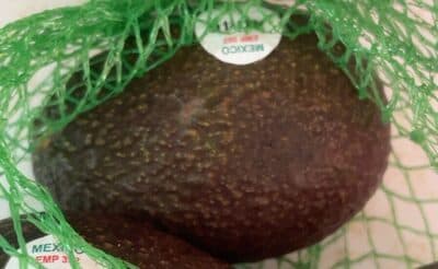 Hass Avocado