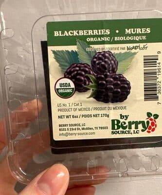 Organic Blackberries