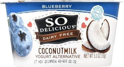 Coconutmilk Yogurt Alternative