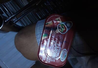 Premium sardines