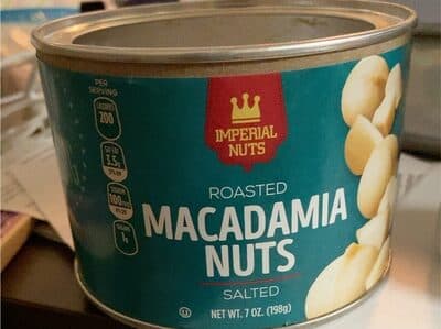 Roasted Macadamia nuts