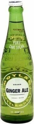 Ginger Ale Soda